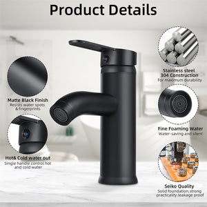 Black Bathroom Faucet Hot Cold Water Sink Mixer Tap Stainless Steel Paint Basin Faucets Single Hole Tapware